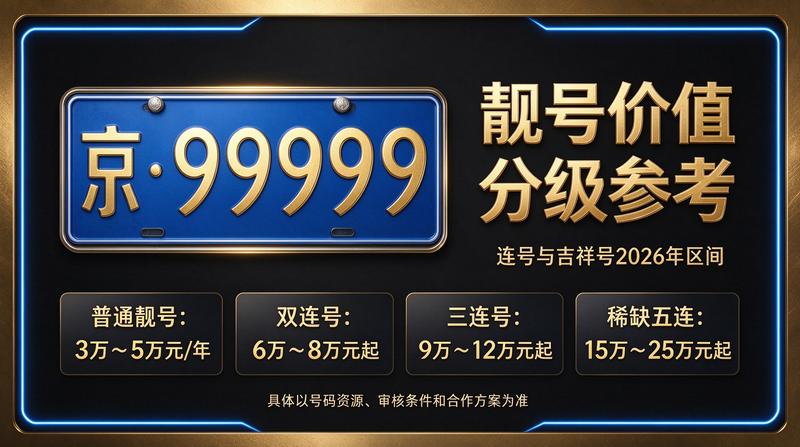 闲置京牌照租赁车辆展示